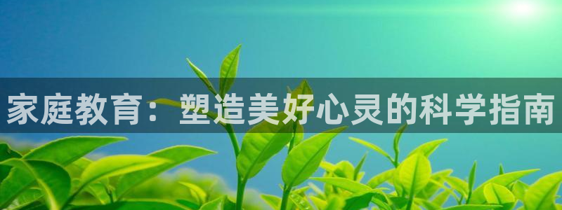 新宝5官网霸
