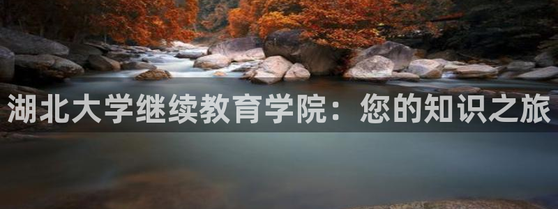 新宝5是谁