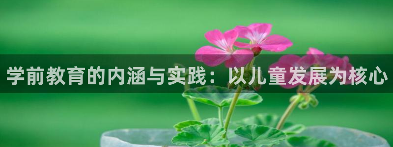 新宝5现在还能玩吗