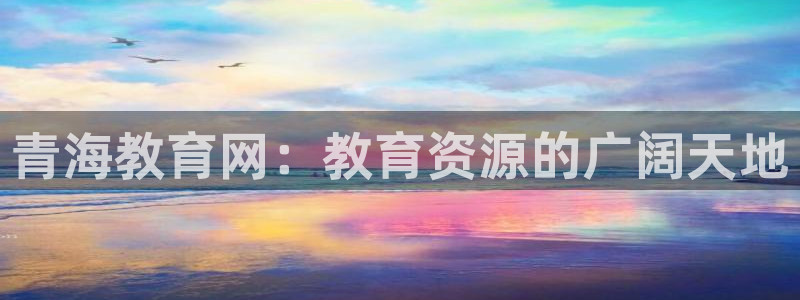 新宝5测速线路
