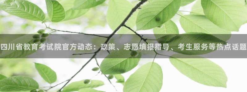 新宝5娱乐同