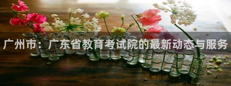 新宝5娱乐注