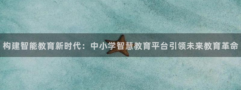新5宝