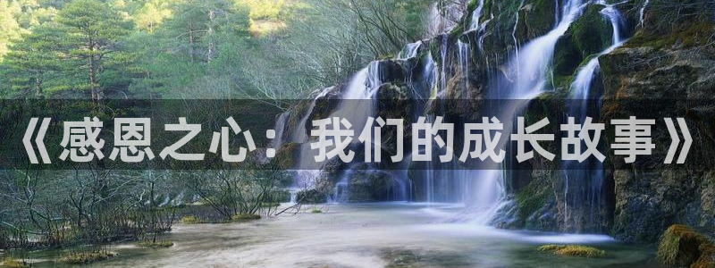 新宝股东王听2 5 5