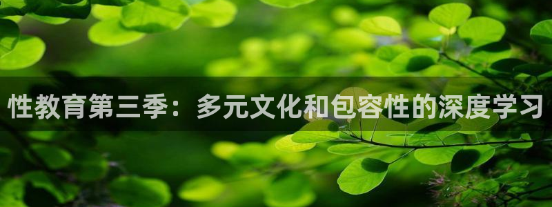 新宝5手机登陆