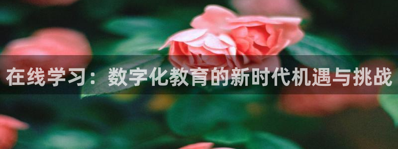 新宝5现在还能玩吗