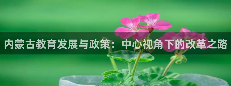 新宝5娱乐没