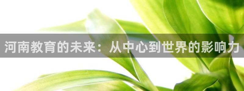 新宝5app