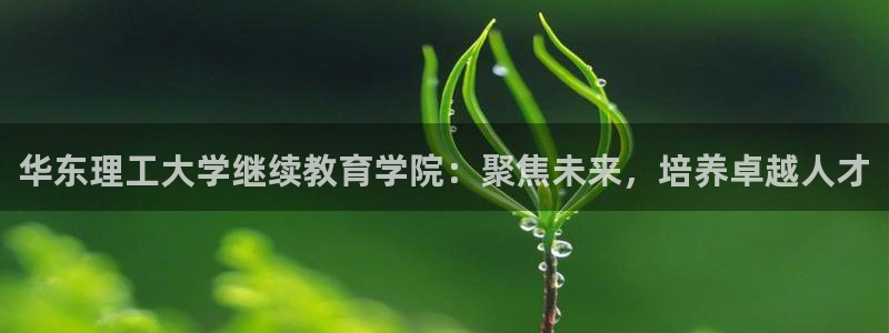 新宝5网址
