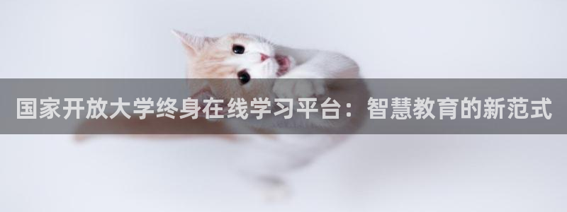 新宝新5