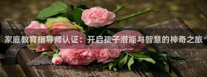 新宝5总代