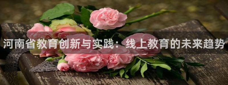 新宝5户端