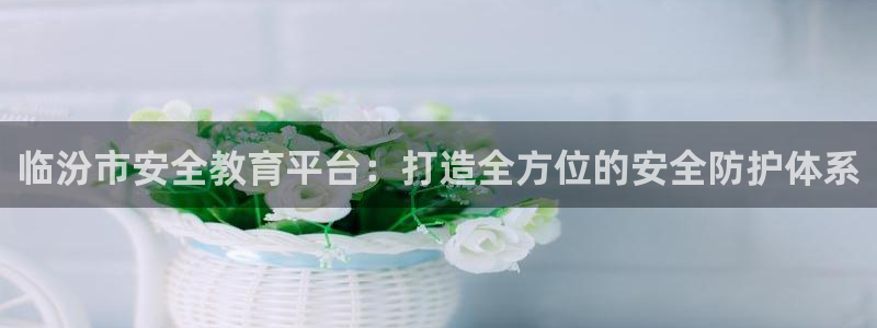 有人知道新宝5么