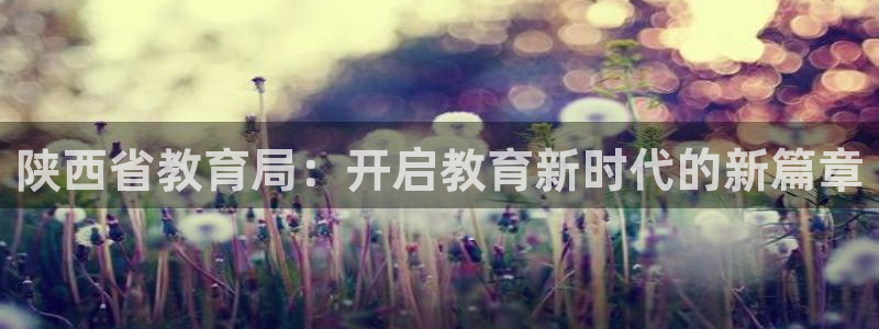 新宝5是什么样子的