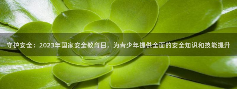 新宝5 代理