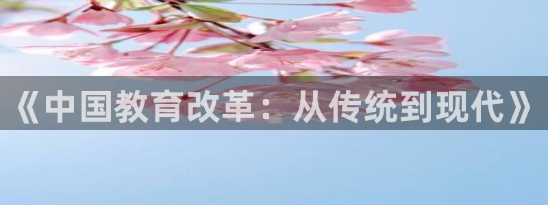 新宝5是谁的