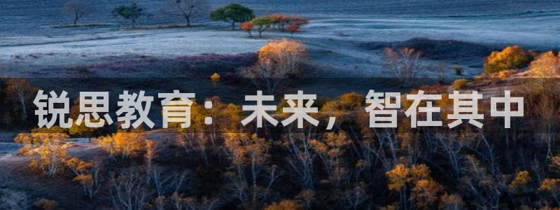 新宝5玩法