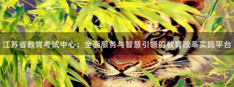 新宝5开户