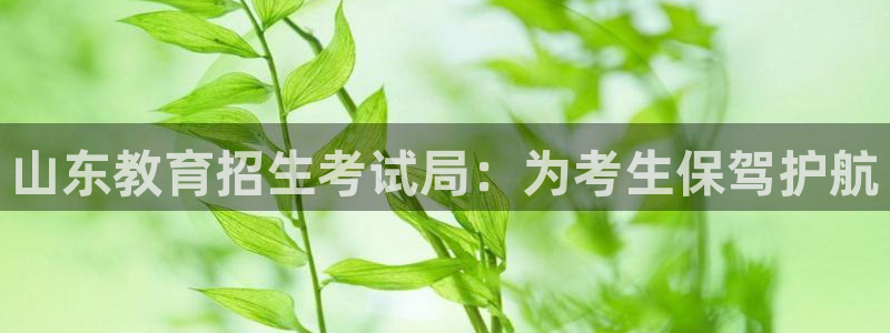 新宝5招商部