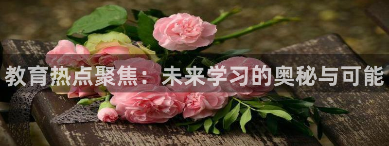 新宝5娱乐代理