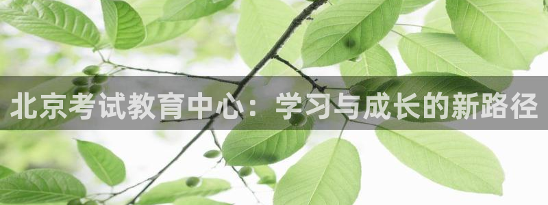 新宝5授权