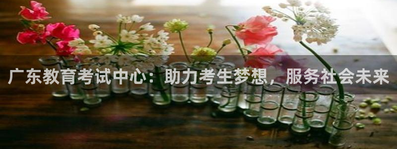 新宝5娱乐